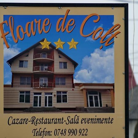 Floare De Colt Hotel Berbesti Exterior foto