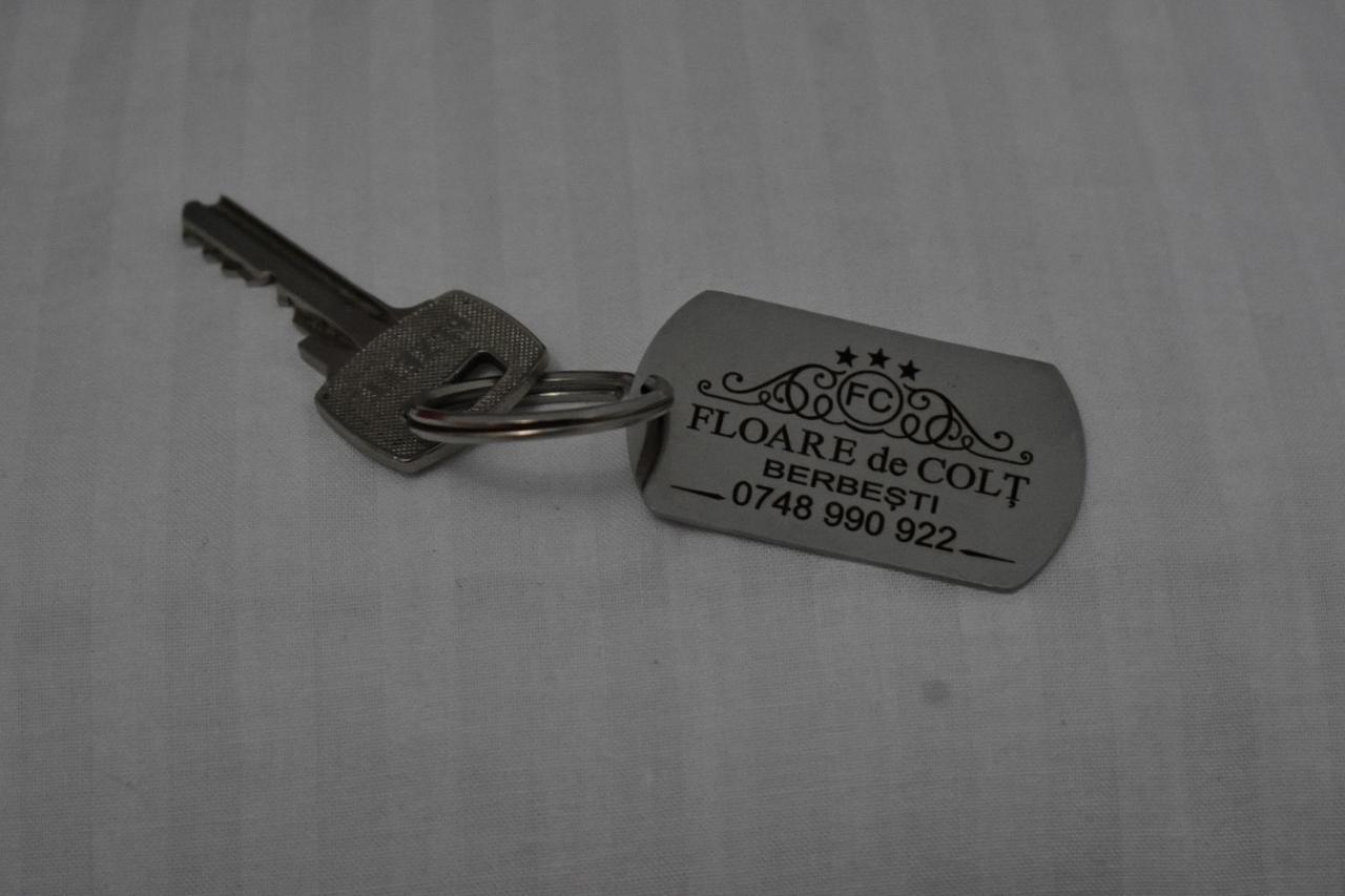 Floare De Colt Hotel Berbesti Exterior foto